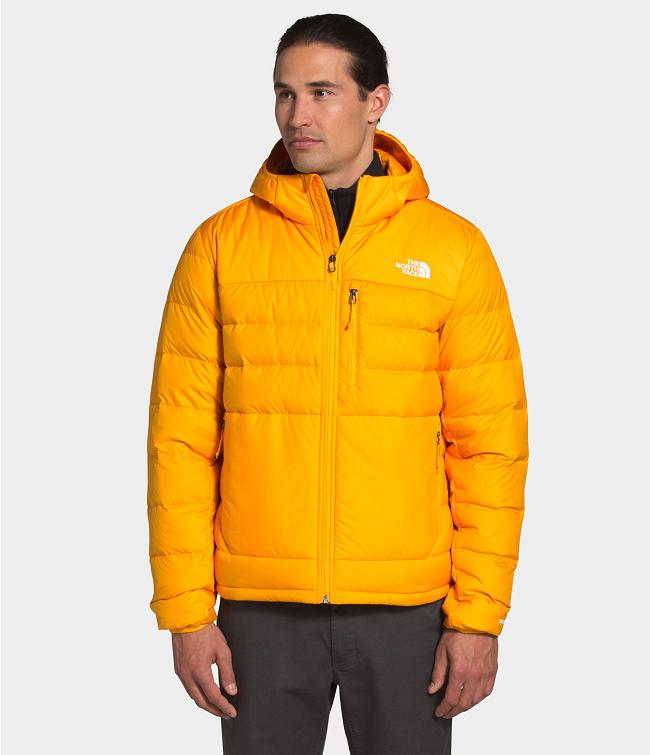 North Face Jassen Nederland - North Face Jas Heren Sale